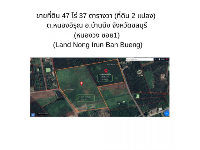 ขายที่ดิน 47 ไร่ 37 ตารางวา (ที่ดิน 2 แปลง)  ต.หนองอิรุณ อ.บ้านบึง จังหวัดชลบุรี (หนองวง ซอย1)