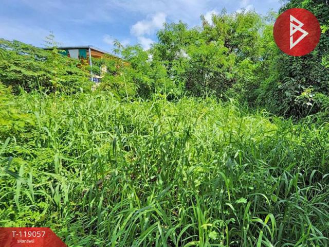 ขายที่ดิน เนื้อที่ 39 ตร.วา หนองเสือ ปทุมธานี