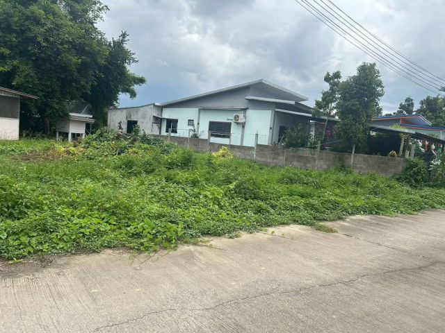ขายที่ดินตำบลหนองแฝกสารภีบ้านกู่แดงพร้อมโอน