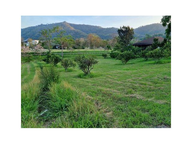ขายที่ดินเขาใหญ่ หมูสี 391ตร.ว วิวอุทยานเขาใหญ่สวยละมุนมาก โครงการมลดา Monlada ติดเส้น3052 ใกล้ธนะรัชต์ ใกล้ทางขึ้นอุทยา