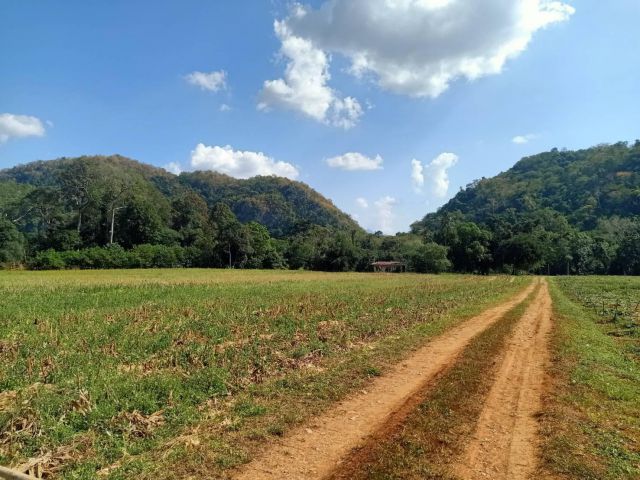 ขายที่ดินเขาใหญ่ ปากช่อง ติดน้ำลำตะคอง หมูสี ท่าช้าง ใกล้ธนะรัชต์ 21 ไร่ ที่สวยมาก วิวเขาล้อมรอบ ใกล้บ่อน้ำผุดธรรมชาติใก