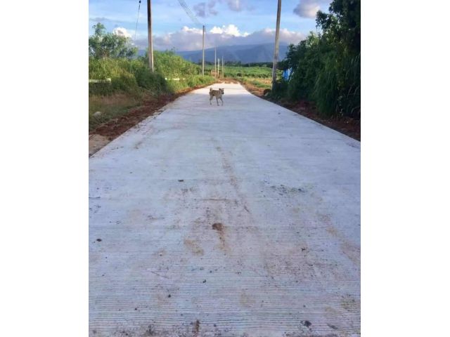 ขายที่เขาใหญ่ 3 ไร่ โป่งตาลอง สระน้ำใส หมูสี ที่สวย วิวเขารอบด้าน มีเพื่อนบ้านแปลงใหญ่หลายแปลง ไม่เปี่ยว เหมาะทำบ้านพักต