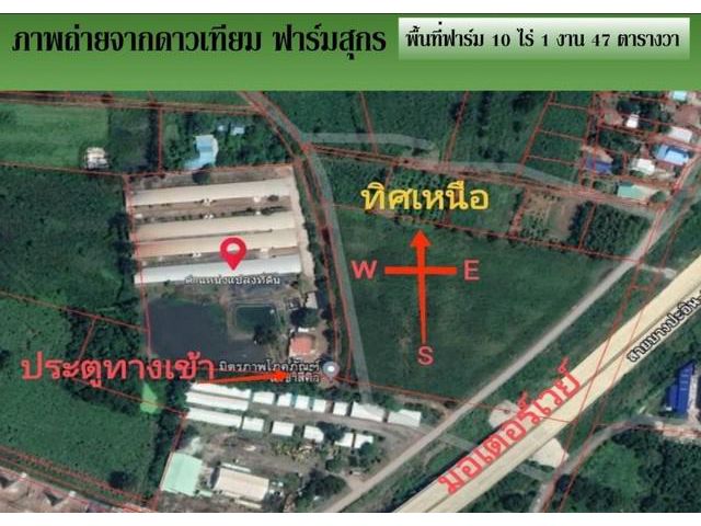 ขายฟาร์มหมู10ไร่กว่าสีคิ้วโคราช ขายฟาร์มหมูในประเทศไทย