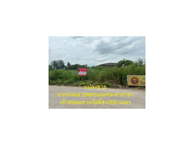 ขายที่ดิน ติดถนนซอยยิ่งเจริญ มหาสวัสดิ์ 4  อ.พุทธมณฑล ใกล้ศาลเจ้ากวนอู ศาลายา เจ้าของขายเอง