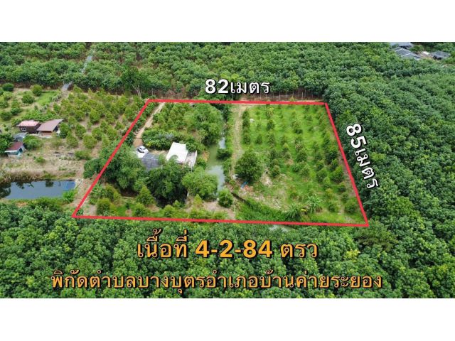 ขายที่ดินสวนทุเรียนพร้อมบ้านพักตบางบุตรบ้านค่ายจระยองเนื้อที่4ไร่2งาน84ตรว.