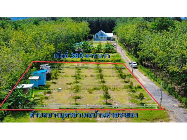 ขายที่ดินสวนทุเรียนพร้อมบ้านน็อคดาวน์เนื้อที่300ตรว.ต.บางบุตรบ้านค่ายจ.ระยอง
