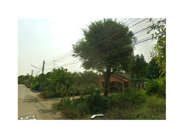 (^_^)      บ้านเดี่ยว   90ตรว.  อ. ตะพานหิน พิจิตร   ใกล้ตัวอำเภอ