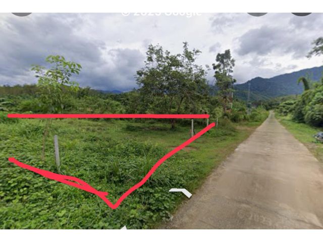 ขายที่ดินมกดก นส 3 ก. ปากทางเข้าสถานีตำรวจสุขสำราญ ห่างจากถนนเพชรเกษม150เมตร