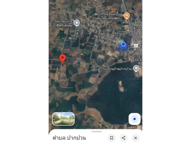 ขายที่ด่วน (ปากปวน)