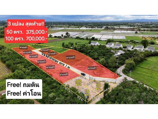 ขายที่ดินเริ่ม50ว. 375ส. สาธารณูปโภค บวกค้าง สันกำแพง เชียงใหม่