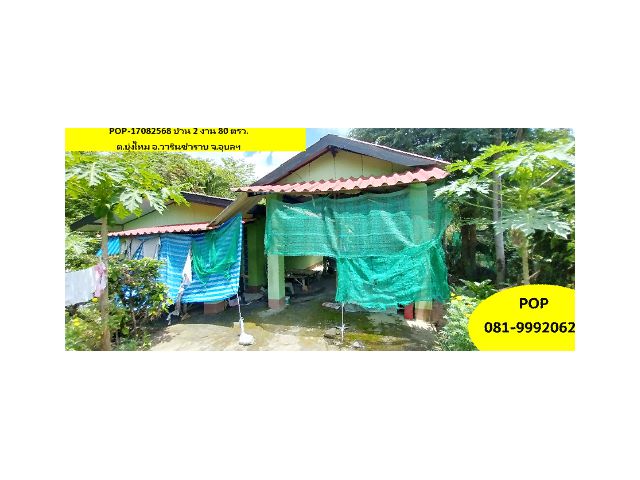 POP-17082568 บ้าน 2 งาน 80 ตรว.มี  1 ห้องนอน 2 ห้องน้ำ 1 ห้องรับแขก 1 ห้องครัว  ต.บุ่งไหม อ.วารินชำราบ จ.อุบลฯ โซน กม.9