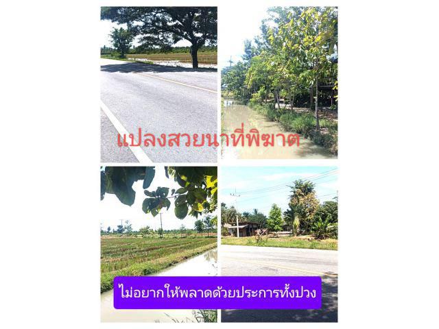 หากได้เห็นยังงัยก็ชอบยังงัยก็ใช่ สบายใจหายห่วงท่าม่วงในดวงใจ ถนนสายหลัก 3209 มีคุณภาพสวยทุกมิติ มาอยู่กับเราแล้วเอาอยู่