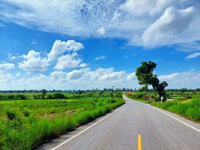 ขายที่ดิน32ไร่(นส.3ก)ต.ห้วยยายจิ๋ว อ.เทพสถิต จ.ชัยภูมิ