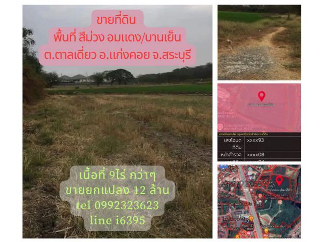 ขายที่ดินสีม่วงอมแดง(บานเย็น)อ.แก่งคอย จ.สระบุรี