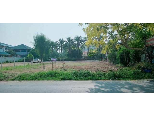 ขายที่ดินตำบลป่าไผ่สันทรายห่างสภ แม่โจ้เพียง450เมตร