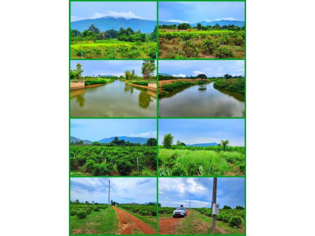 ขายที่ดินติดแม่น้ำ วิวภูเขาสวย อ.หนองหญ้าปล้อง จ.เพชรบุรี