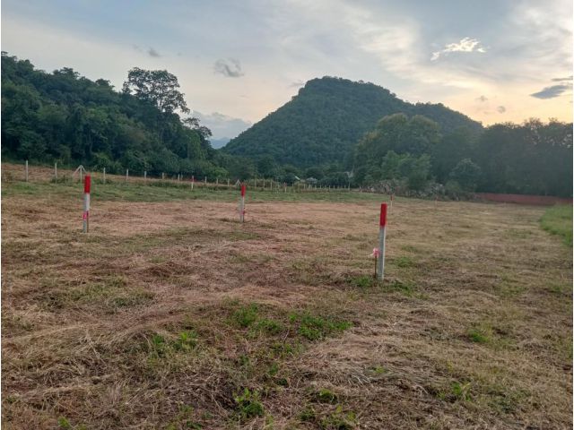 ขายที่ดินโฉนด100 ตรว.หมูสี ห่างน้ำผุด 800 เมตร