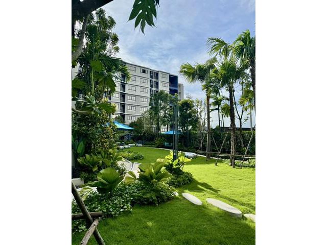 ขาย คอนโด D Condo Reef ภูเก็ต  อาคาร C ชั้น 6  วิวภูเขา  24.07 ตร