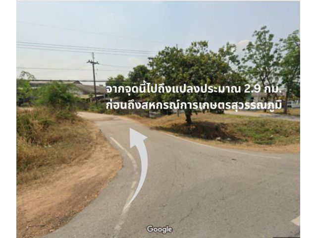 โอกาสสำหรับคนอยากมีที่ทำเกษตร  ที่ดิน 12 ไร่ เมืองทุ่ง อ.สุวรรณภูมิ จ.ร้อยเอ็ด