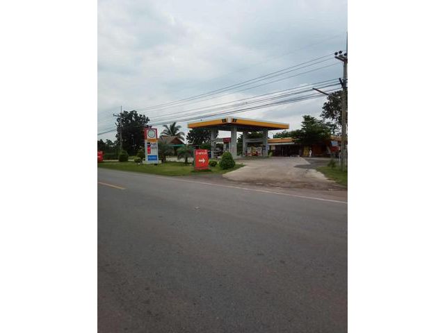 ขายที่ดินติดถนนทางหลวงหมายเลข 2150 อำเภอขามสะแกแสง จังหวัดนครราชส