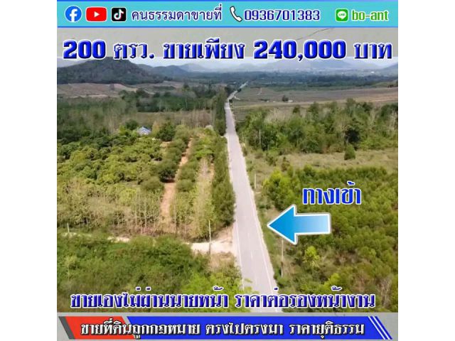200 ตารางวา โฉนด ครุฑแดง วิวหลักล้าน,อากาศบริสุทธิ์  กว้าง 24 เมตร ยาว 36 เมตร ต.กลัดหลวง อ.ท่ายาง เพชรบุรี มีทางส