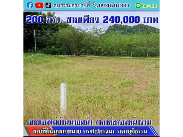 200 ตารางวา โฉนด ครุฑแดง วิวหลักล้าน,อากาศบริสุทธิ์  กว้าง 24 เมตร ยาว 36 เมตร ต.กลัดหลวง อ.ท่ายาง เพชรบุรี มีทางส