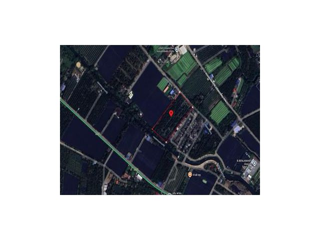 ขายด่วน! ที่ดินพร้อมสวนมะพร้าวบ้านแพ้วกว่า 8 ไร่! ราคาดี ในหนองนก