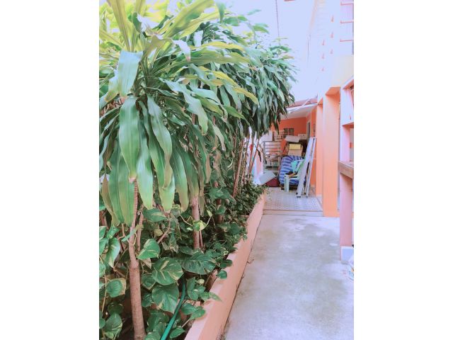ขายบ้านพร้อมที่ดิน ทำเลทอง ศาลายา จงถนอม