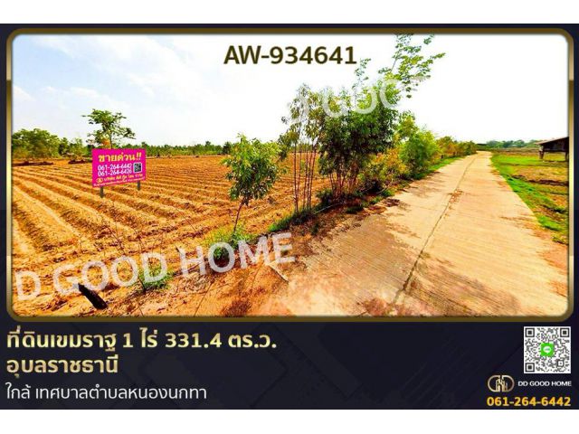 AW-934641 ที่ดินเขมราฐ 1 ไร่ 331.4 ตร.ว. อุบลราชธานี ใกล้ เทศบาลตำบลหนองนกทา