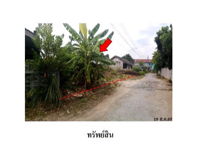 ขายที่่่ดินว่างเปล่า ถนน พาณิชพัฒนา 1 พนัสนิคม ชลบุรี