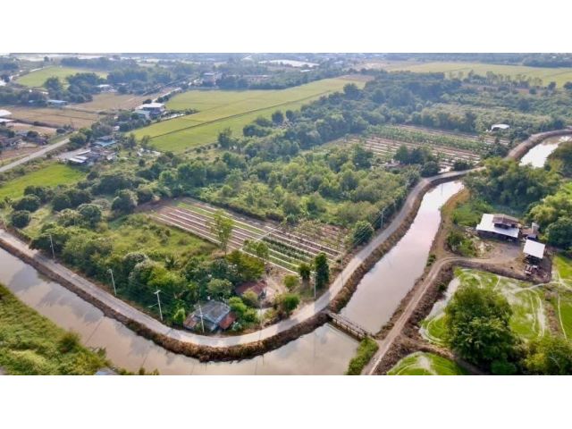 #ที่ดินหนองแค สระบุรี อากาศดี ขับรถจากกรุงเทพเพียง 1 ชม. ไร่ละ 780,000 บาท