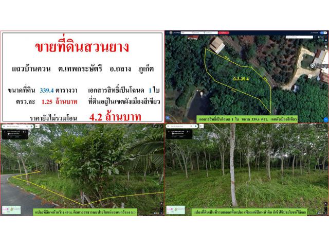 ขายที่ดินสวนยาง ขนาด 339.4 ไร่  แถวบ้านควน  ต.เทพกระษัตรี  อ.ถลาง  ภูเก็ต