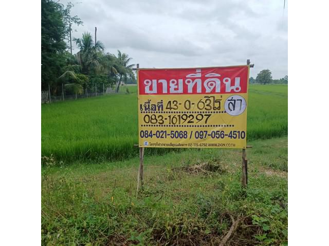 ขายที่นาราคาถูก 43-0-65 ไร่ ใกล้ อบต.บ้านกร่าง  เมืองพิษณุโลก