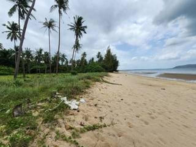 ขายที่ดิน ติดทะเล หาดสวนหลวง บางสะพาน ประจวบคีรีขันธ์ 11-1-90 ไร่