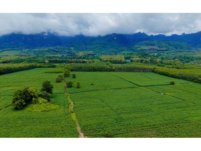 ขาย ที่ดิน ทองผาภูมิ วิวเขา ต.สหกรณ์นิคม อ.ทองผาภูมิ จ.กาญจนบุรี