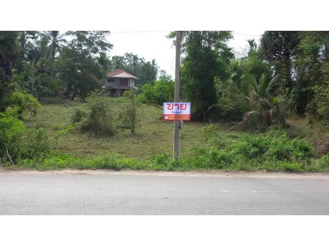 ขายที่ดินเปล่า บ้านมะกรูด ต.มะกรูด ปัตตานี