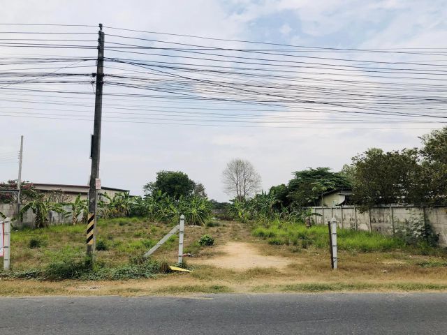 ขายที่ดินหนองปรือ พัทยา 391 ตรว. ซอยเขาตาโล9 ใกล้ถนนสุขุมวิท3-2.8กม. บางละมุง ชลบุรี