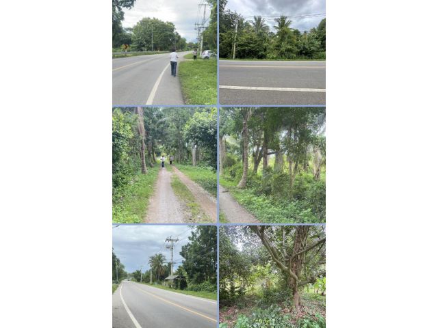 ที่ดินติดถนนหลัก