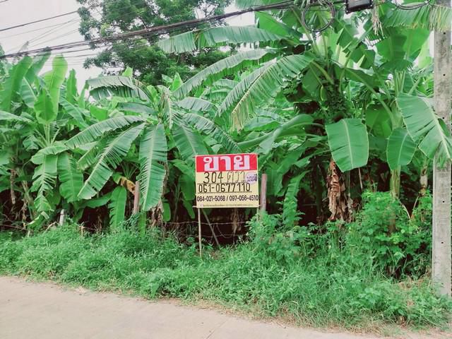 ขายที่ดิน 304 ตารางวา  หนองปลิง  เมืองนครสวรรค์  ใกล้สถานีรถไฟหนอ