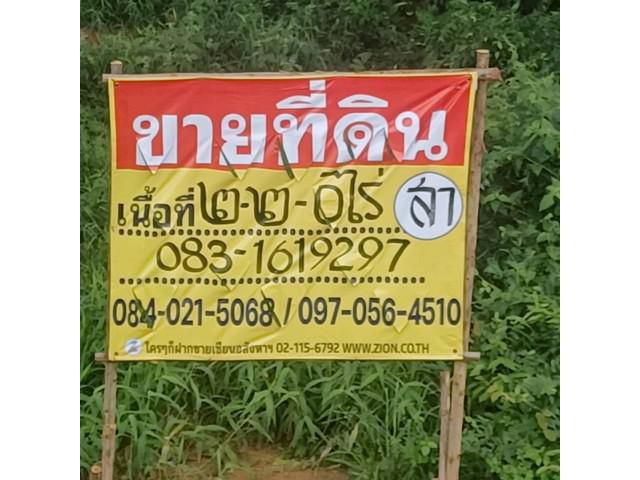 ขายที่นาสวย 2-2-0 ไร่  ติดคลองชนประทาน  บ้านท่าตะเคียน   เมืองพิษ