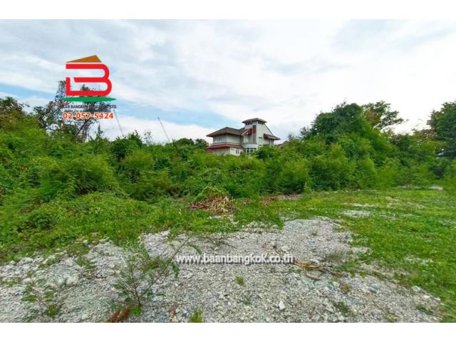 ที่ดินเปล่า พหลโยธิน 35 (ซอยท่านผู้หญิงพหลฯ) เนื้อที่ 104 ตรว. ถนนพหลโยธิน แขวงลาดยาว เขตจตุจักร กรุงเทพมหานคร