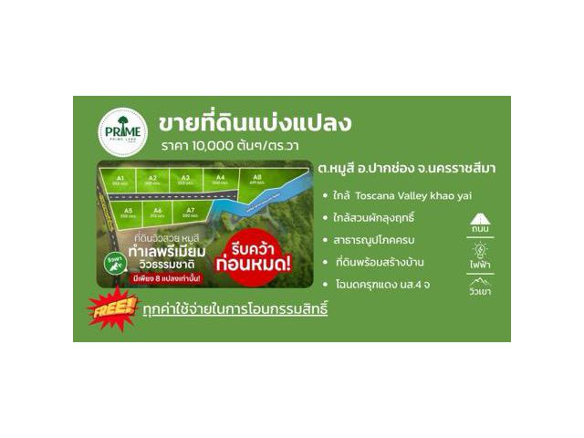 ขายที่ดินหมูสี ปากช่อง เขาใหญ่ แปลงเล็ก ราคาดีที่สุด ทำเลทองหล่อเขาใหญ่ ใกล้ธนะรัชต์