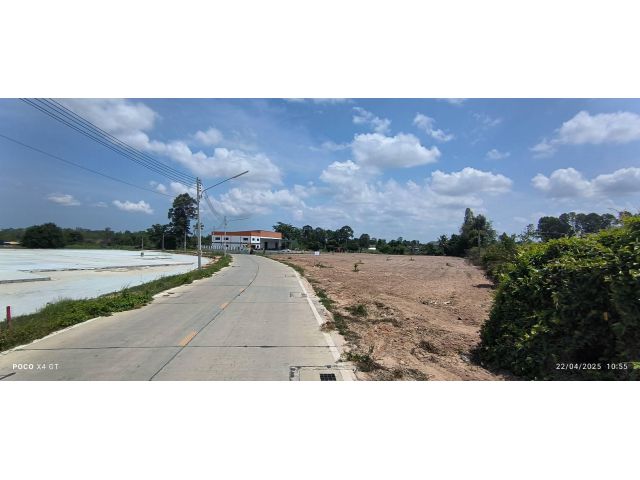 ขายที่ดินบึงหนองแขวะ-หนองคล้าเนื้อที่ 3 ไร่ ติดลำห้วย ติดถนนคอนกรีตมีท่อระบายน้ำ ใกล้ท่าเรือแหลมฉบัง-7กม. อ.ศรีราชา ชลบุรี
