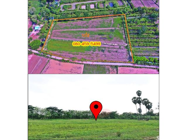 ***ขายที่ดิน10ไร่ ไฟฟ้า ถนนคอนกรีต อ.สูงเนิน จ.นครราชสีมา*****