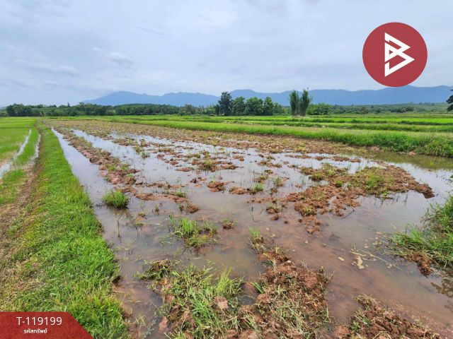 ขายที่ดิน เนื้อที่ 2 ไร่ 3 งาน 44.6 ตร.วา ท่าจำปี พะเยา