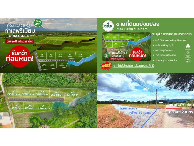 ขายที่ดินทำเลทอง หมูสี – ปากช่อง – เขาใหญ่ทำเล Rare Location วิวภูเขา อากาศดีที่สุดในโลก