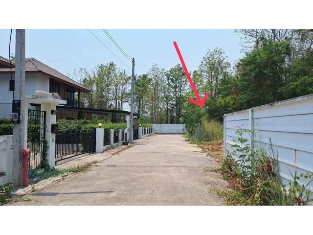ขายที่ดินตำบลหนองผึ้งสารภี แยกกองทรายห่างรร วารี 7 กม
