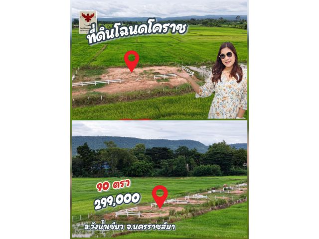 ╰┈►►ขายที่ดินโฉนด 299,000 วังน้ำเขียว โคราช  วิวภูเขาและทุ่งนา เนื้อที่ 90 ตารางวา