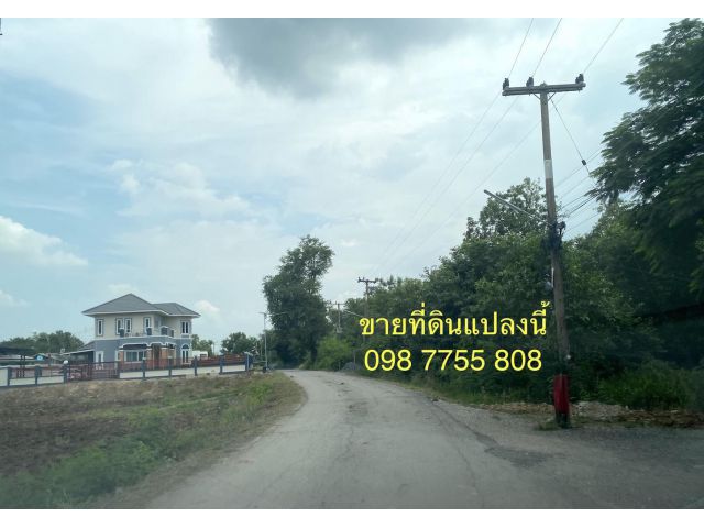 ขายไร่ละ 9 แสน ที่ดิน 2 ไร่ ใกล้วัดดอนกลาง ภาชี พระนครศรีอยุธยา 098 7755 808
