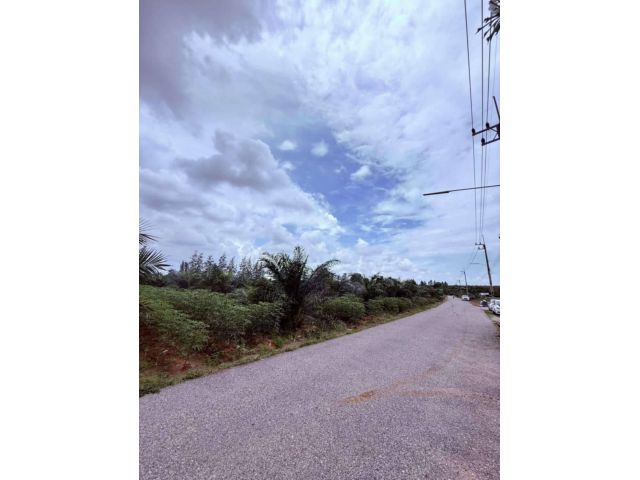 ขายที่ดินแปลงสวย 2 ไร่เศษ ต. หนองอิรุณ อ. บ้านบึง จ.ชลบุรี ใกล้แยกเนินโมก ใกล้ถนนหลวงเส้น 331
